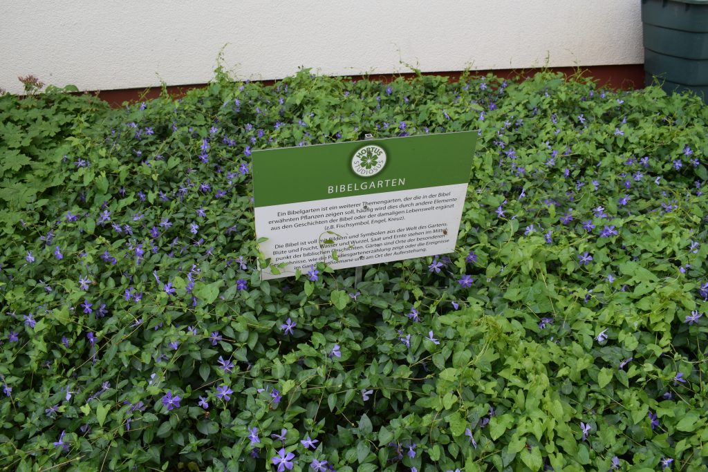 Sie sehen eine Grünfläche mit einer Informationstafel zum Bibelgarten.