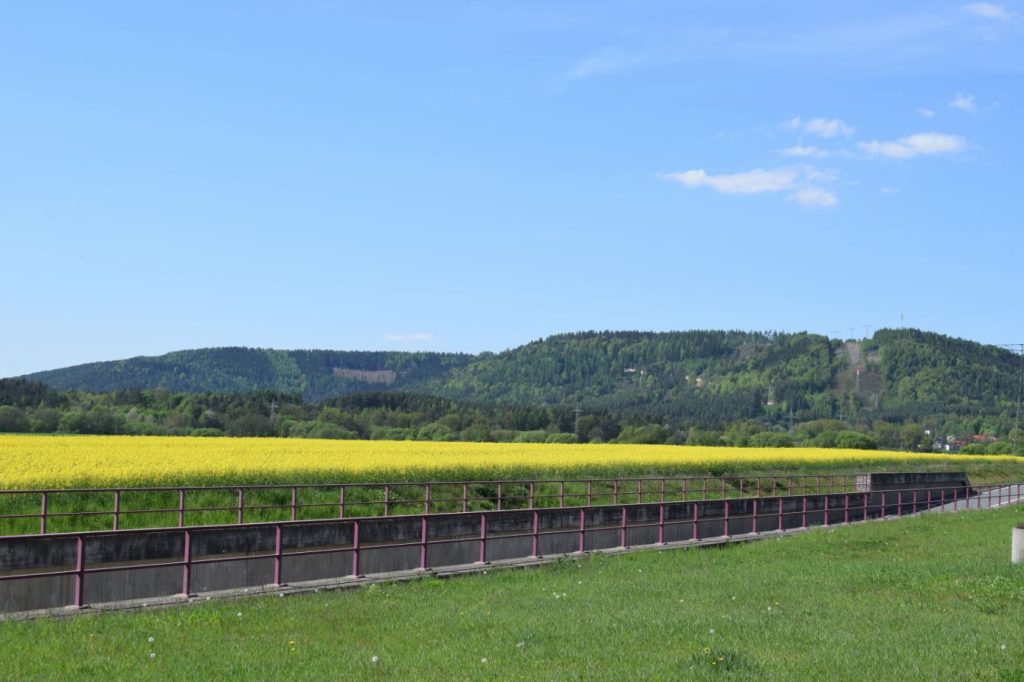 Der Berg Isaak mit grünen Hängen und blauem Himmel. Im Vordergrund ein gelbes Rapsfeld sowie eine Grünfläche an der Umgehungsstraße.