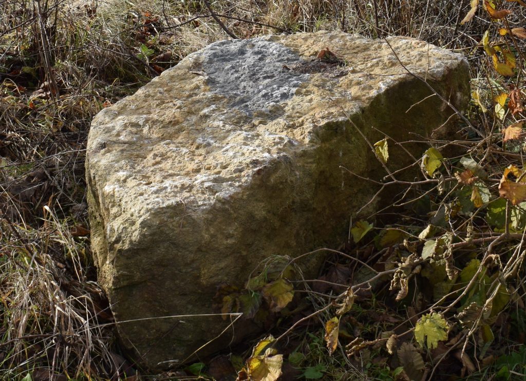 Hellgrauer Stein auf einer Wiese.